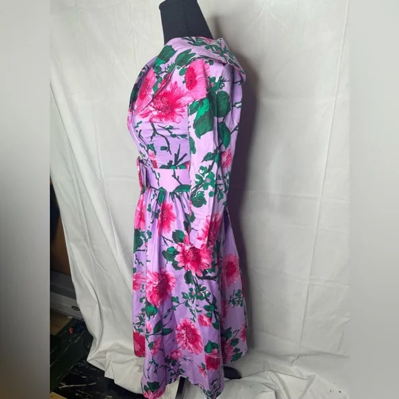 Pinup Girl Birdie Dress - Picture 4 of 7